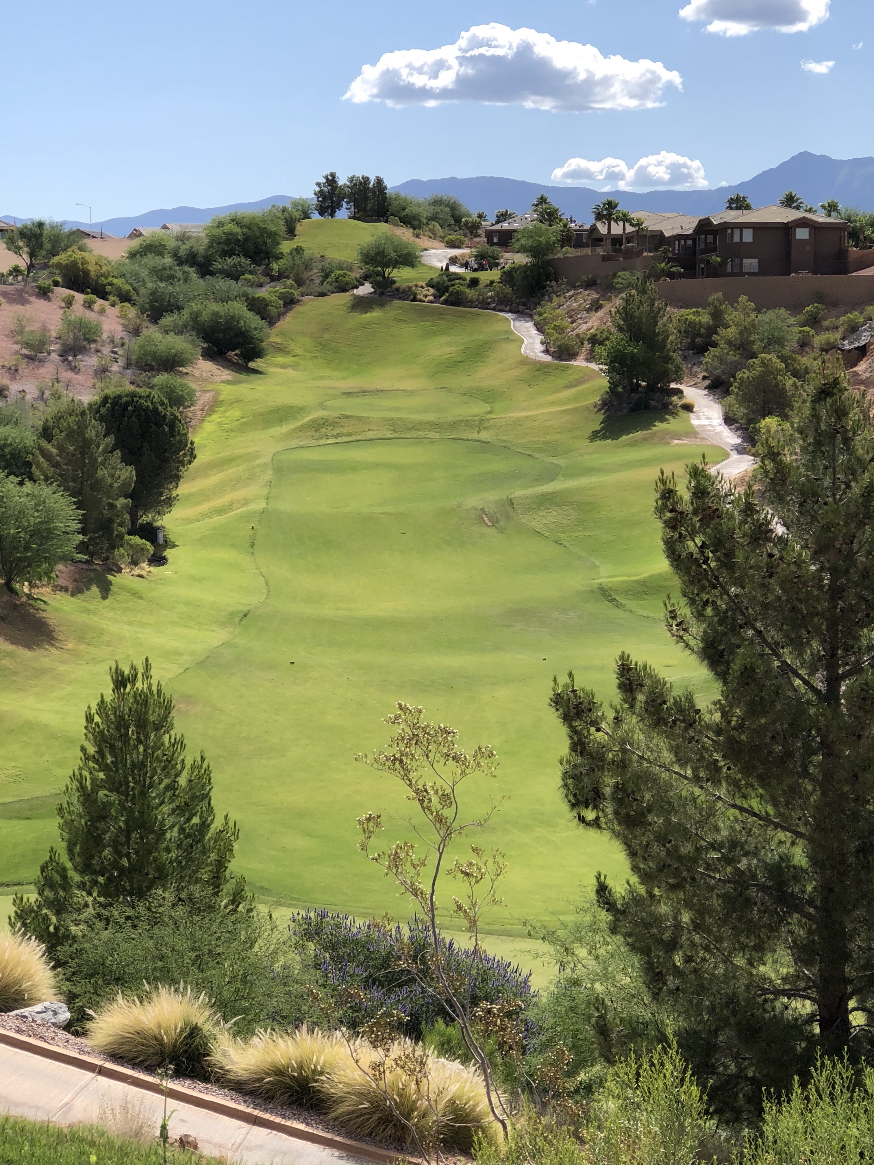 Mesquite Amateur Golf analogies and Life’s Circumstances